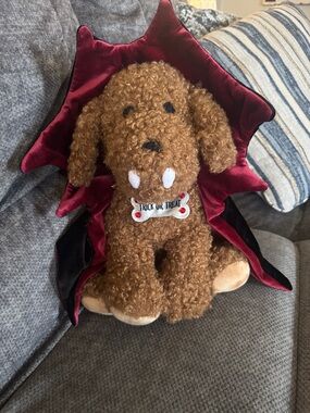 Pottery Barn Dante the Dracula Dog